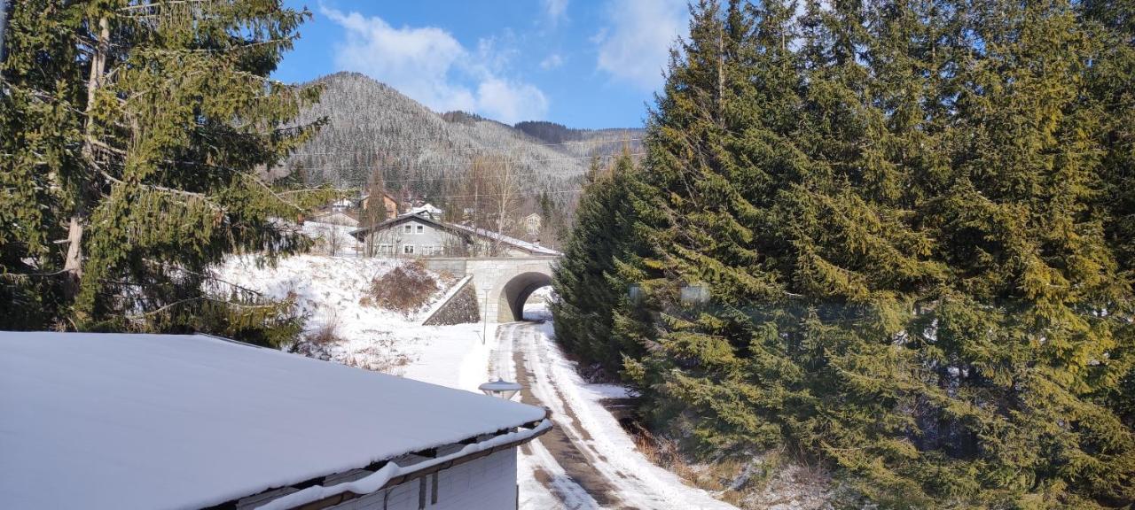 Haus Elena Am Semmering Steinhaus am Semmering Exterior foto